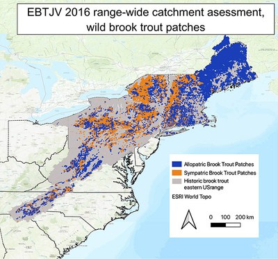 This map shows patches, or groupings of small watersheds, where wild brook trout exist either without the competition of brown and rainbow trout, or alongside these non-native species.