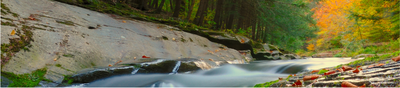 Banner 2