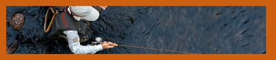 angling banner