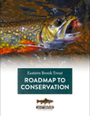 Eastern Brook Trout Roadmap to Conservation (2018)