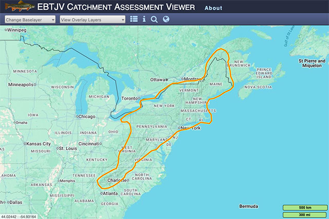 Assessment Viewer Tool Image