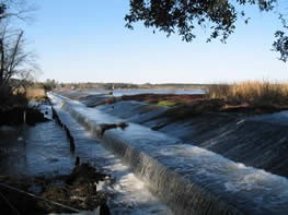 Goose Creek Dam Eel Passage Restoration, South Carolina