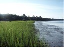 Restoring Coastal Fish Habitat Using Oysters, Mussels, and Marsh Grass at Guana Peninsula, FL