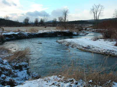 View downstream showing highly sinuous stream with steep, eroding banks and little or no riparian buffer.