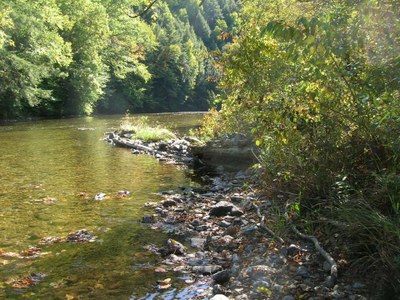 Photo of the old water management structure built in 1950 causing widening of the stream.  These structures will be removed and the stream narrowed and deepened with J-hooks and large woody debris.