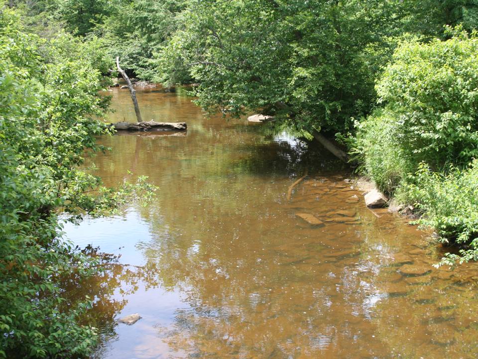 Photo 1 of Casselman River, MD Acid Mine Drainage in Casselman River, MD.  AMD rivers are often stained orange from iron that dropped out of the water after leaving the mine.