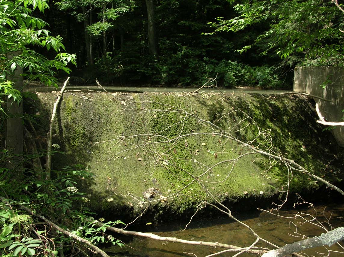 Dam on Right Branch of Wetmore Run