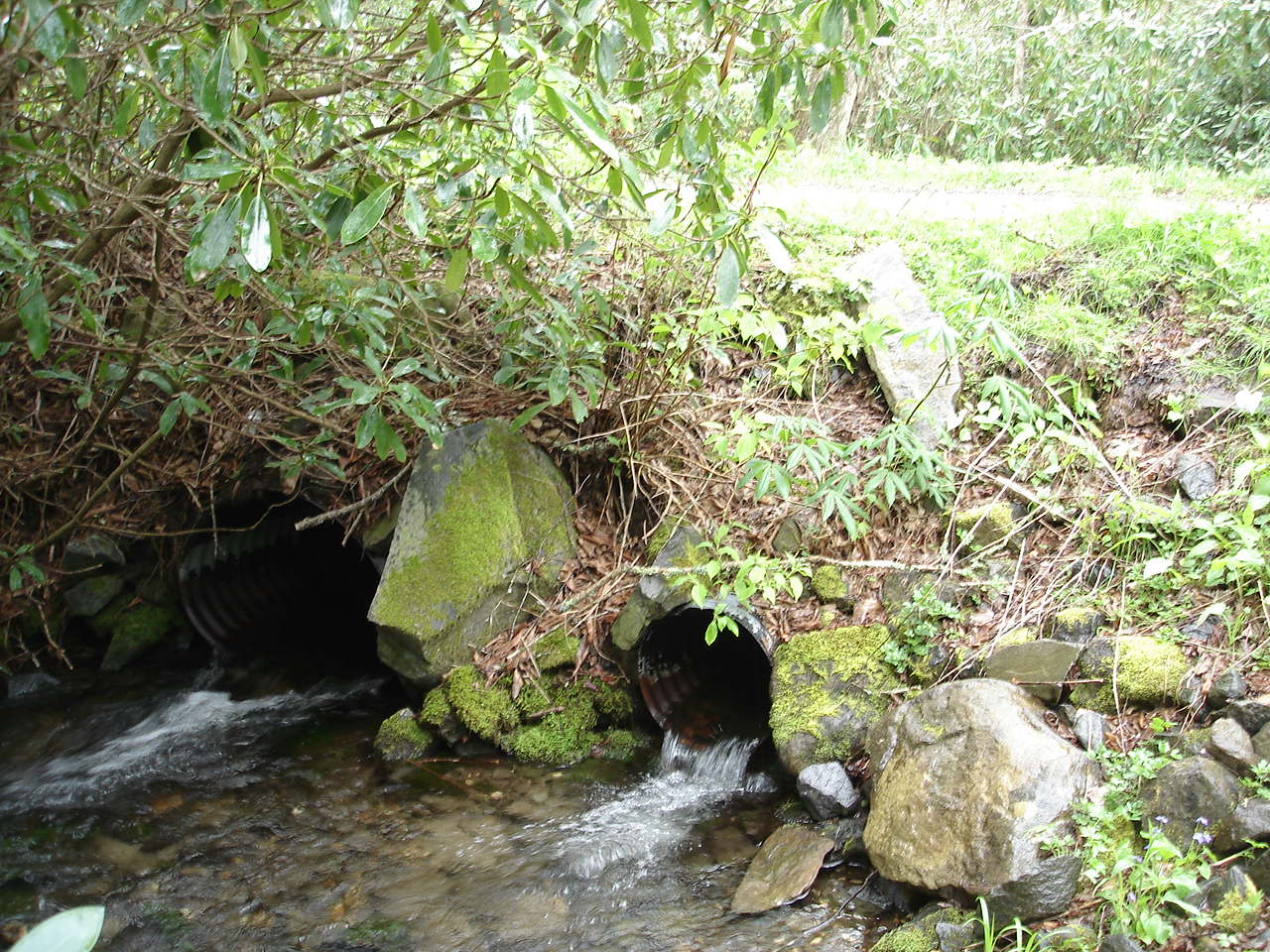 Wolf Laurel Culvert in NC