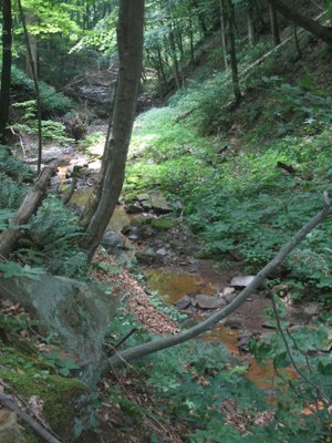 Photo of Aaron Run, Maryland