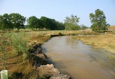 Photo of Smith Creek Headwaters Restoration, Viginia