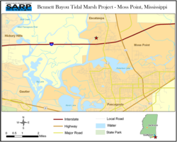 Bennett Bayou Tidal Marsh -Moss Point,Mississippi