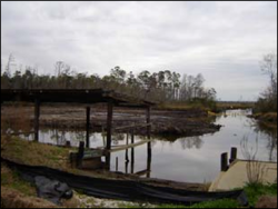 Degraded Bennett Bayou site before restoration.