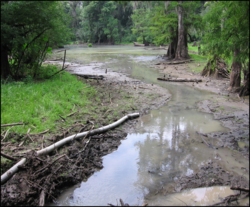 Reconnected flow between lake and spring head.