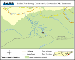 Indian Flats Prong, Great Smoky Mountains NP, TN