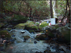 Stream segments (700-1,300m) were treated in 2005.