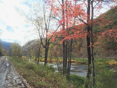 Bipartisan Infrastructure Bill and brook trout