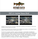 Nov 19, 2022 e-news: Brook Trout Love Fall - Part II