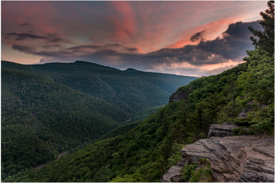 EBTJV supports NJ DEP and partners in a grant to accelerate Brook Trout conservation in the Delaware Watershed