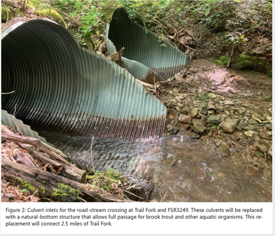 EBTJV's 2021 habitat projects to connect over 6 stream miles, reduce sedimentation, improve brook trout resiliency to climate change