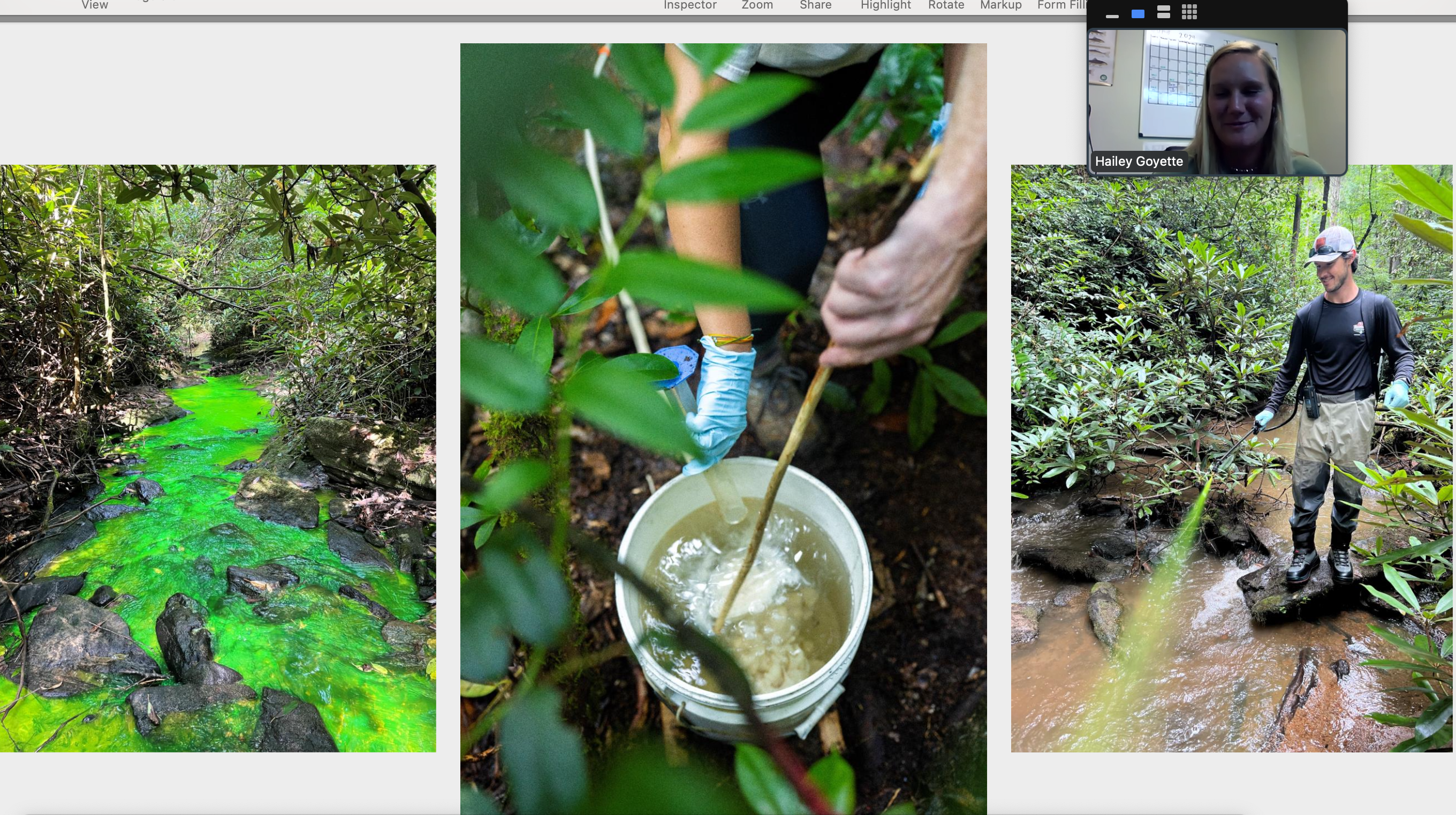 Pigpen Branch, SC restoration