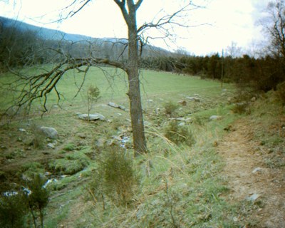 Photo of Smith Creek Headwaters Restoration, Viginia