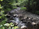 South Bog Stream Restoration Project, Maine