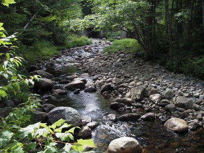 South Bog Stream, Maine