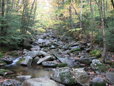 Treatment Site #1, an Unnamed tributary to the Sunday River, Maine