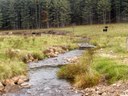 Whitethorn Creek Restoration, West Virginia