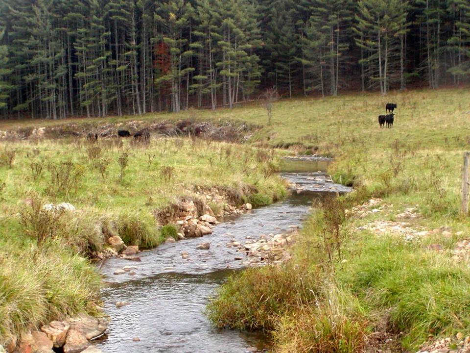 Photo of Whitethorn Creek, WV