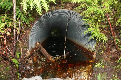 Photo of Barrier on WB Machias, Maine