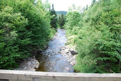 Photo of Indian Stream in New Hampshire.