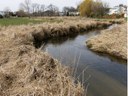 Expanding Brook Trout in Willow Creek, Pennsylvania