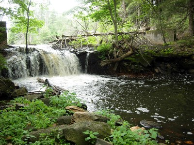 Dam removed from Hamant Brook in Massachusetts, as part of a 2010 project. 8 miles of stream were re-opened.