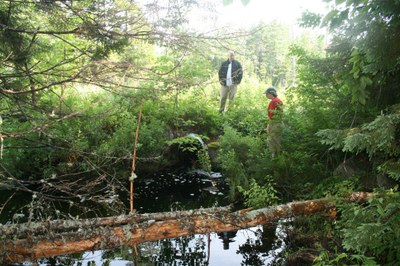 Photo showing the outlet of a perched ulvert on an Unnamed Tributary on Ash Bog Stream in Maine.  