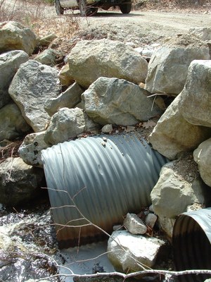 Outlet of Culverts at Ash Bog Stream in Maine