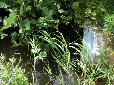 Photo of the downstream end of the East Branch Marshall Brook existing culverty.  Note the width of the stream channel greatly exceeds the width of the culvert opening.