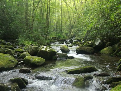 Lynn Camp Prong, Smoky Mountain National Park, Tennessee