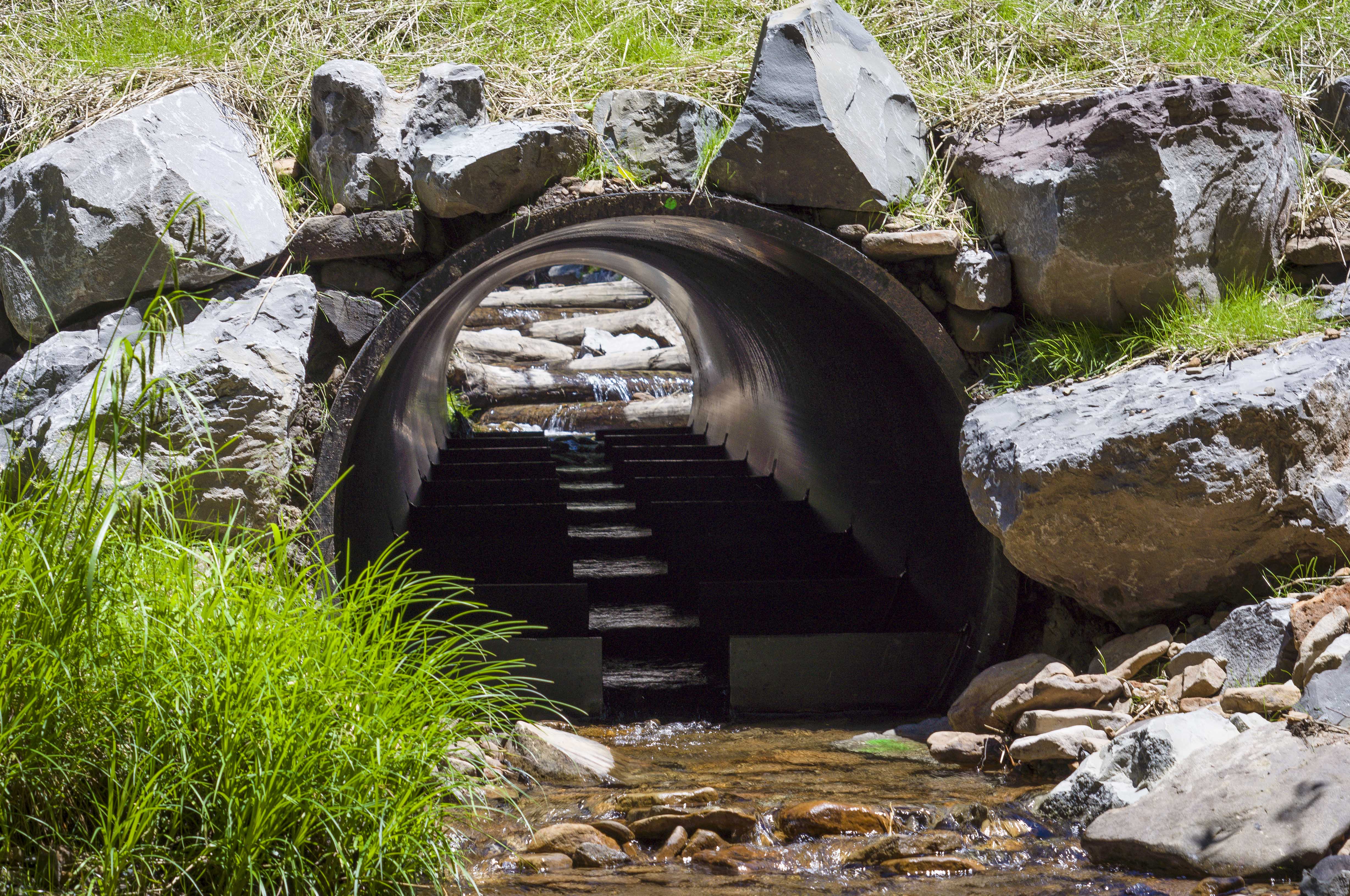 Lamothe Run Below Culvert