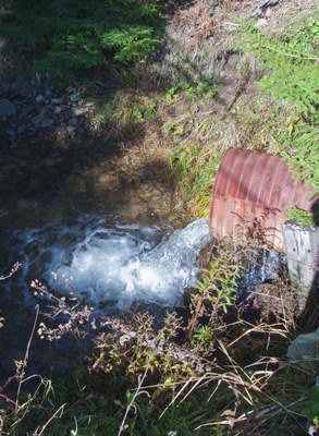 Photo of the Lamothe Creek Culverts to be removed.