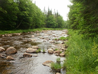 Photo of the Mainstem Nulhegan River in Vermont