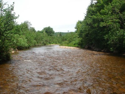 Photo of Nash Stream in Coos County, New Hampshire.  Note the shallow, overwidened reach with poor habitat complexity between East Branch and Pond Brook.