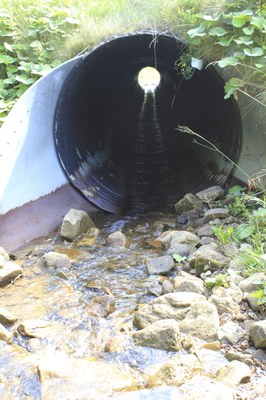 Photo of the Passage Barrier on Oats Run in West Virginia