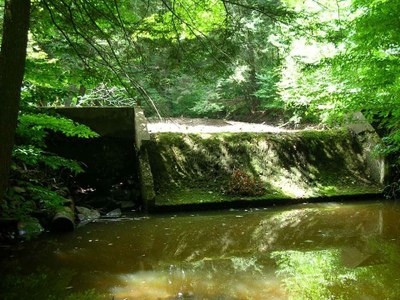 Dam on Wetmore Run