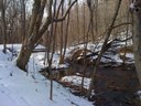 Dam Removals to Reconnect Brook Trout Habitat on an Unnamed Tributary to Frankstown Branch, PA