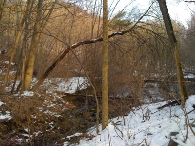 Lower Dam, Frankstown Branch, PA