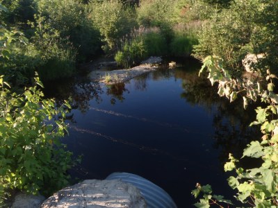 Photo of the structure outlet on Scott Brook, ME