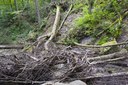 Mill Creek Stream Restoration, Tygart River, Kumbrabow State Forest, WV