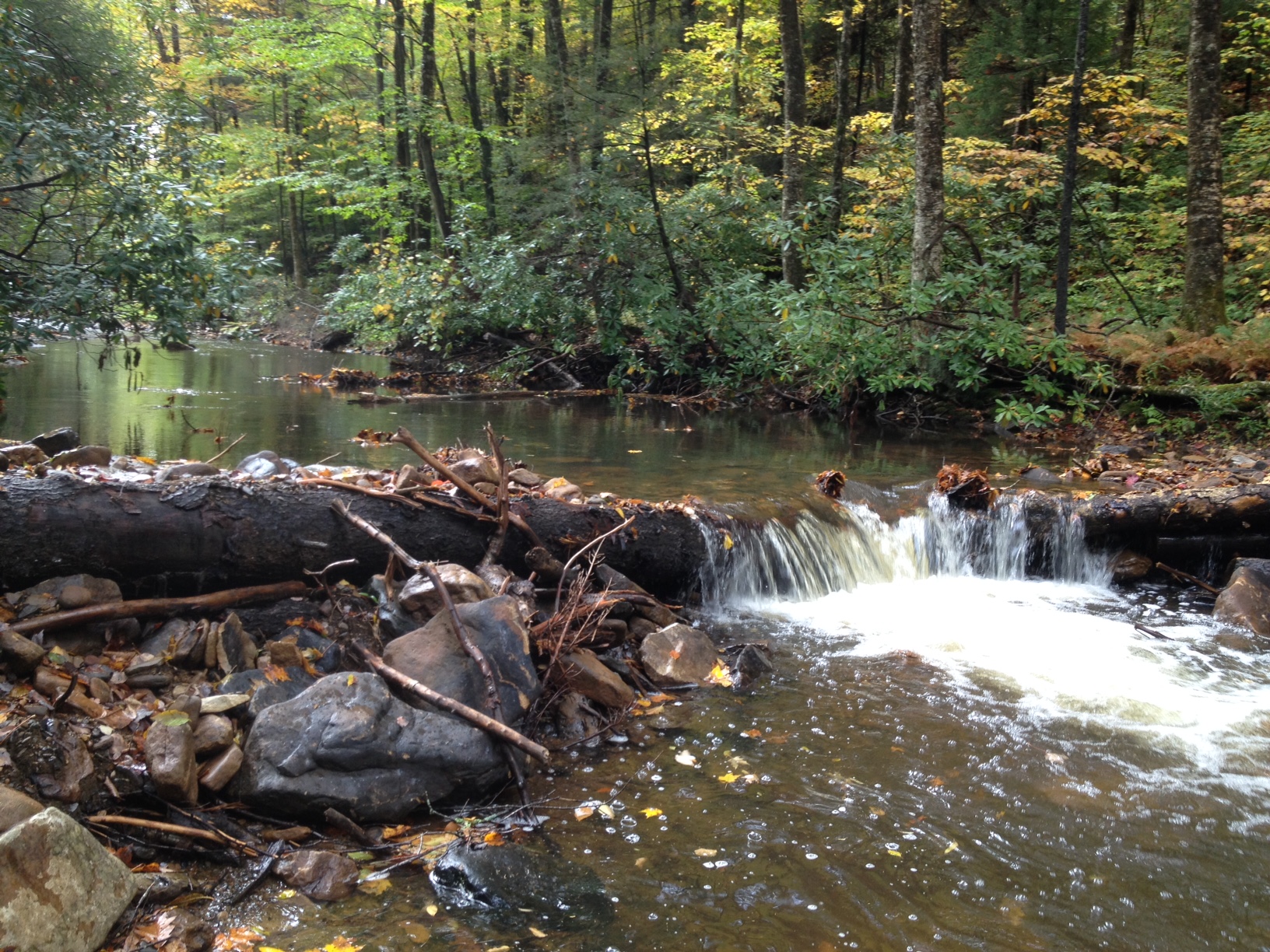 Mill Creek, WV Post Project Photo 3