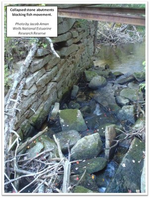 Collapsed stone abutments block fish passage at an abandoned road crossing on Branch Brook, Kennebunk, ME.